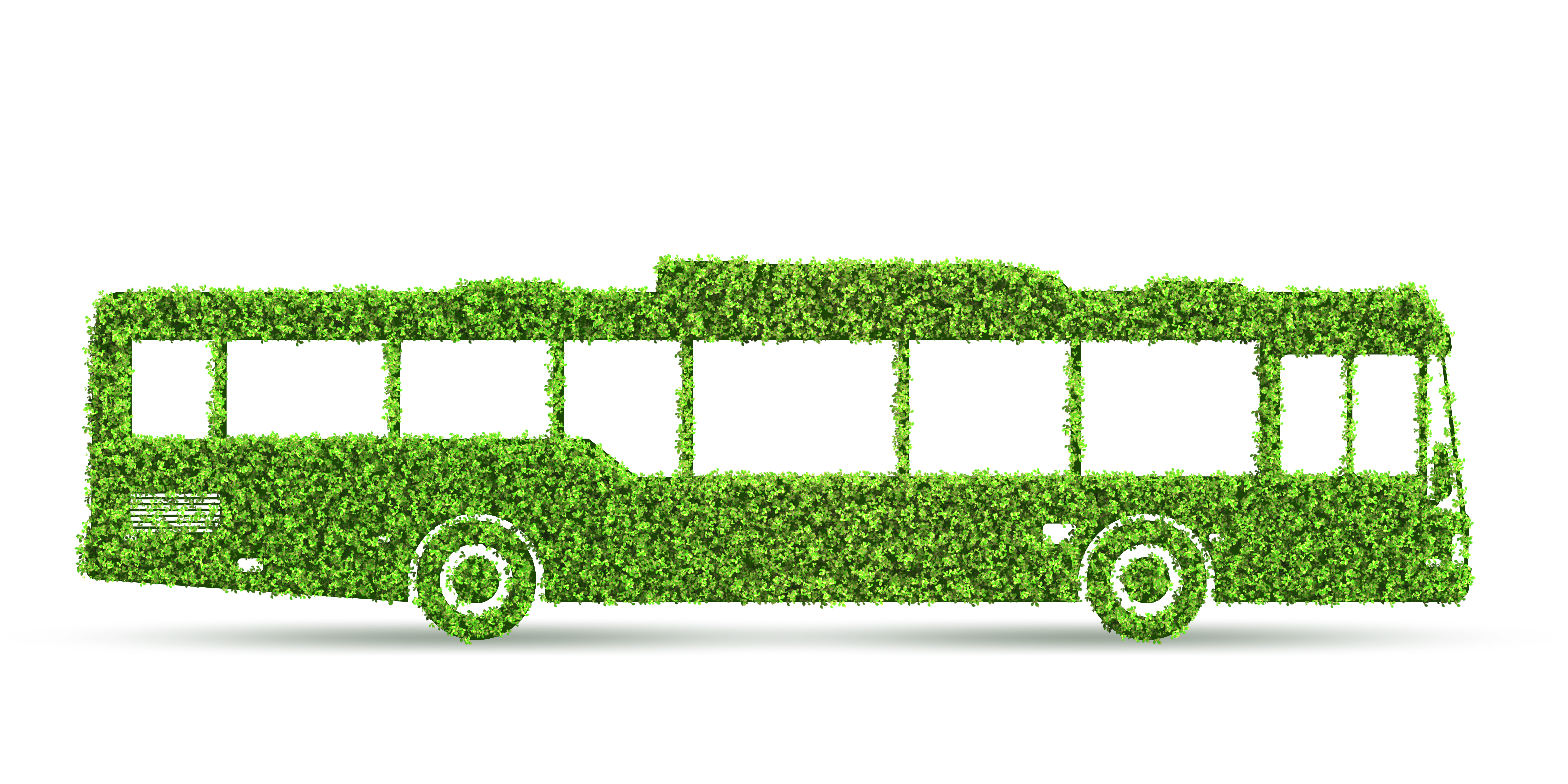 Green Bus